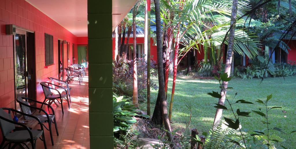 Daintree Rainforest Retreat Motel Luaran gambar