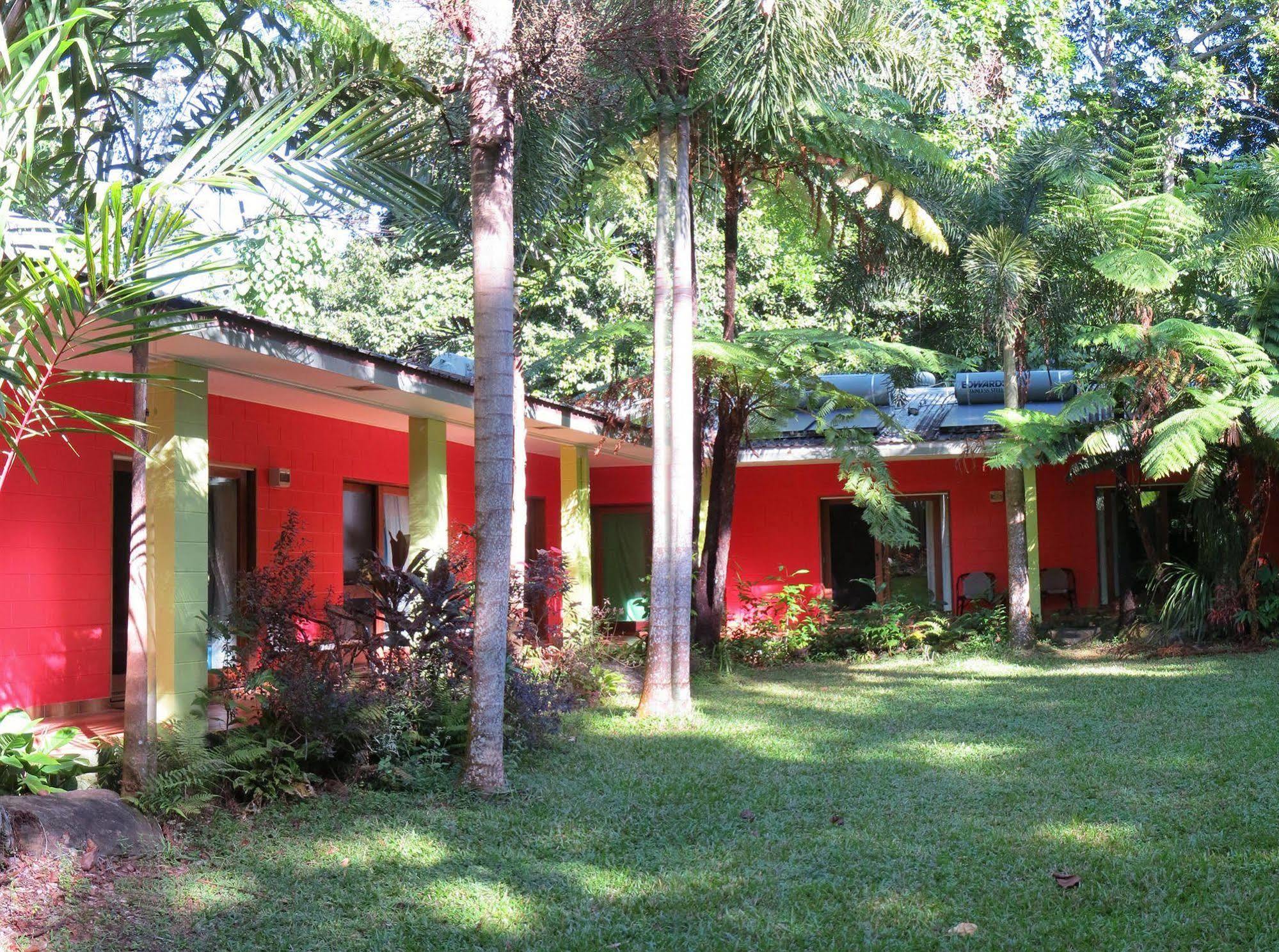 Daintree Rainforest Retreat Motel Luaran gambar