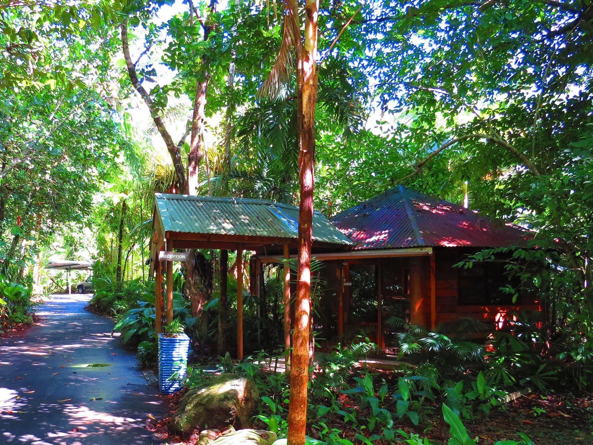 Daintree Rainforest Retreat Motel Luaran gambar