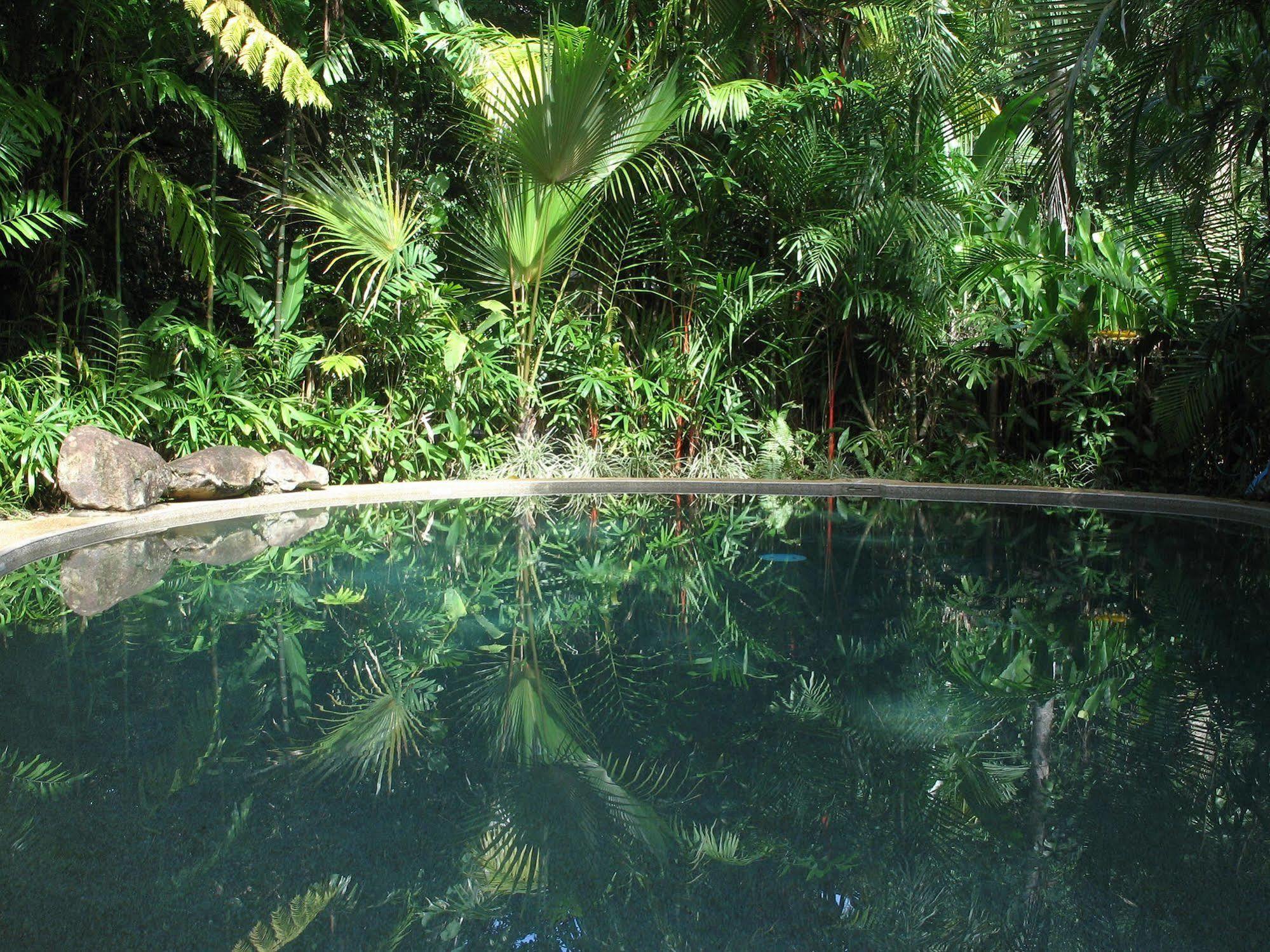 Daintree Rainforest Retreat Motel Luaran gambar
