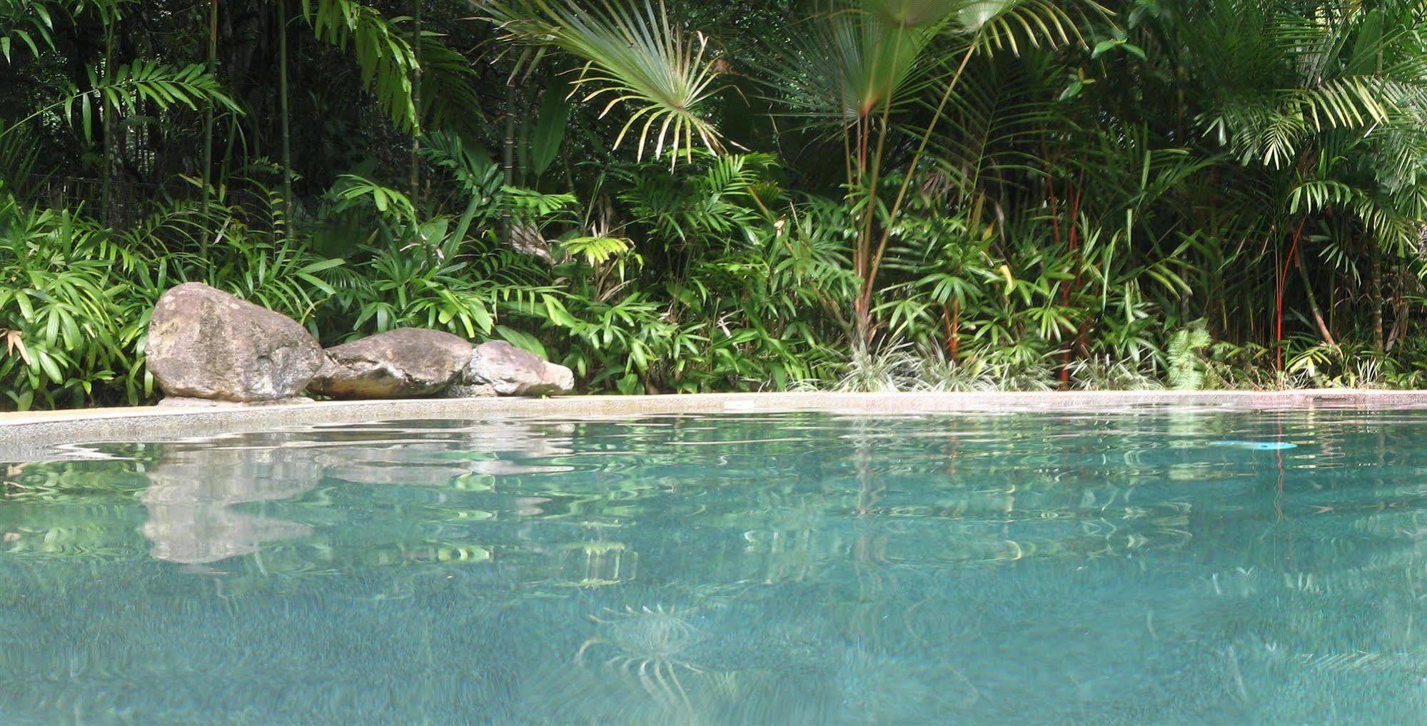 Daintree Rainforest Retreat Motel Luaran gambar
